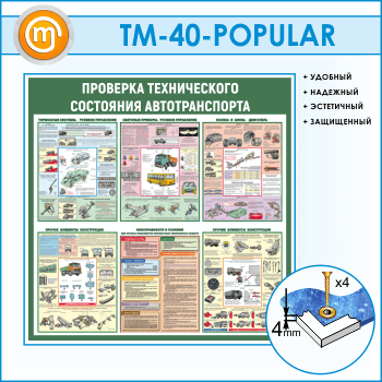 Стенд «Проверка технического состояния автотранспорта» (TM-40-POPULAR)